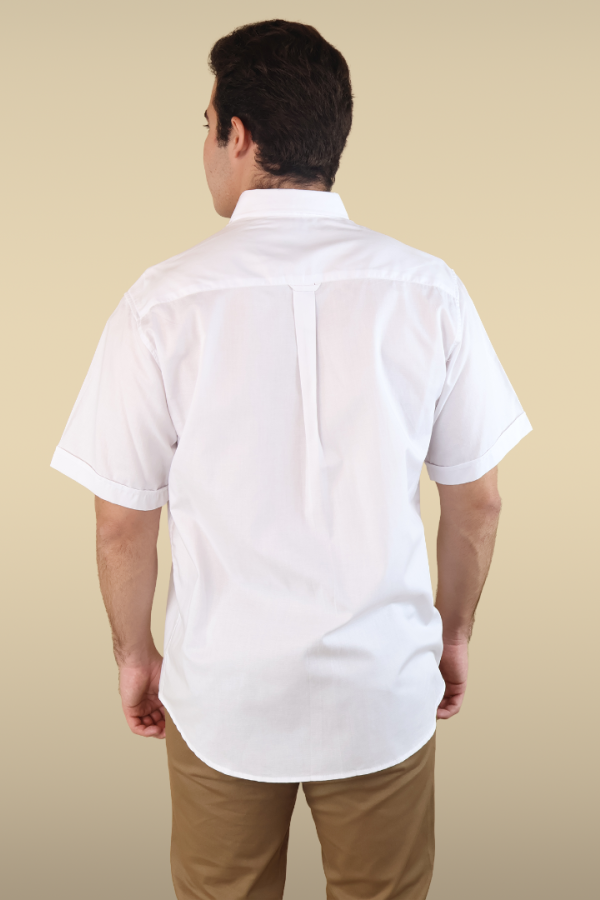 Camisa básica manga corta 100% Algodón Premium